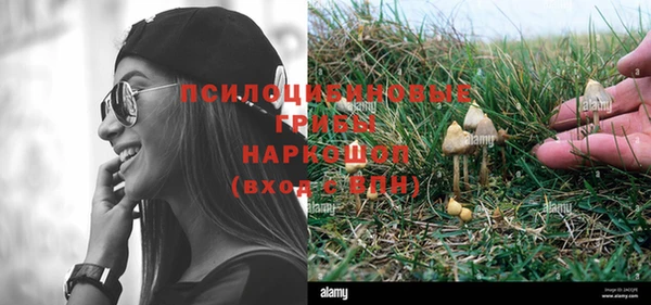 не бодяженный Абаза