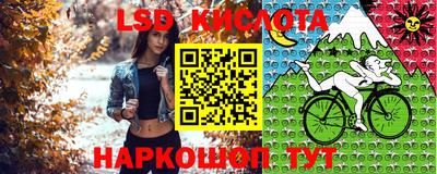 apvp Коммунар