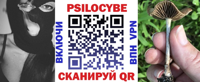 купить наркоту  Нижнекамск  Псилоцибиновые грибы Psilocybine cubensis 