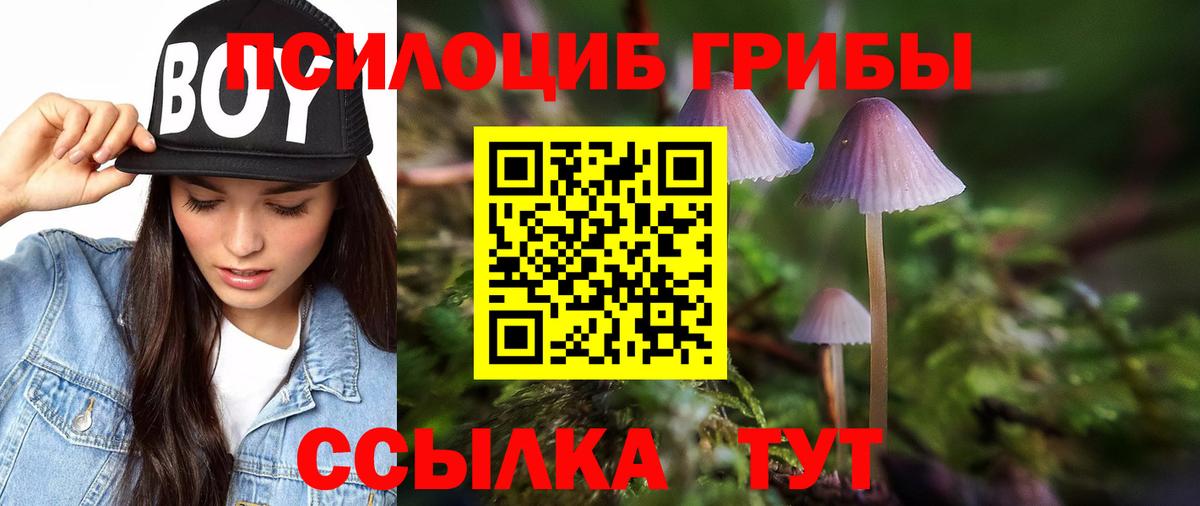 Псилоцибиновые грибы Magic Shrooms Нижнекамск